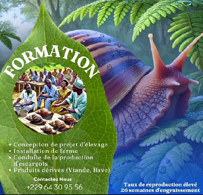 Promotion produit / service — mtossou653