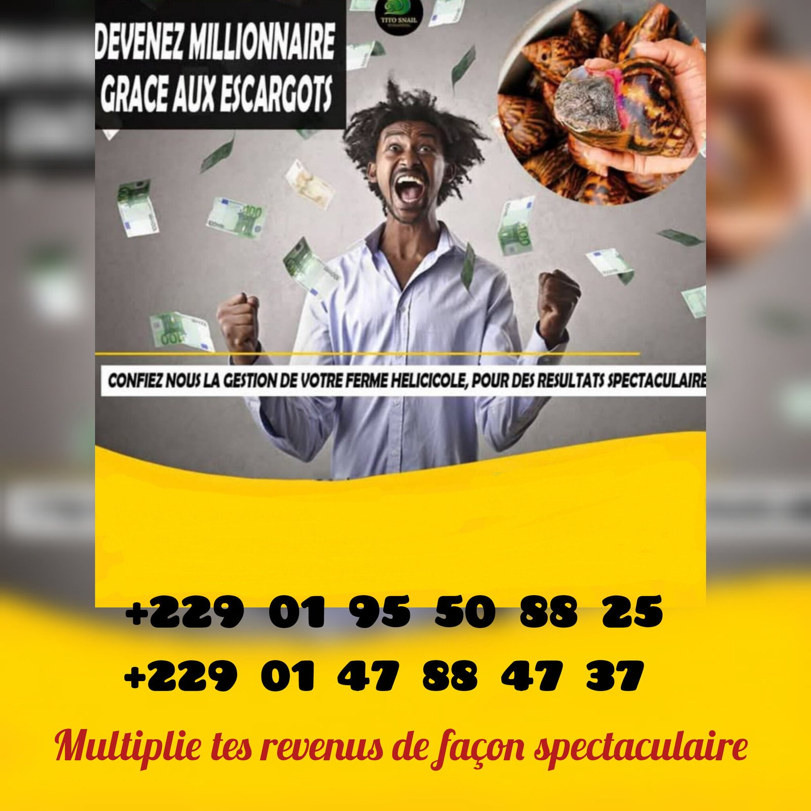 Promotion produit / service — pascal270305