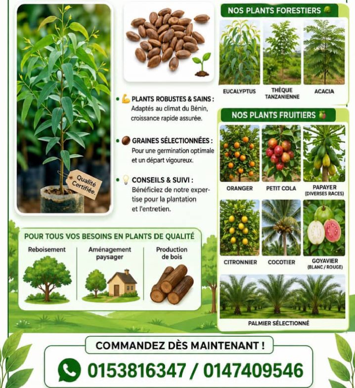 Promotion produit / service — 2290153816347